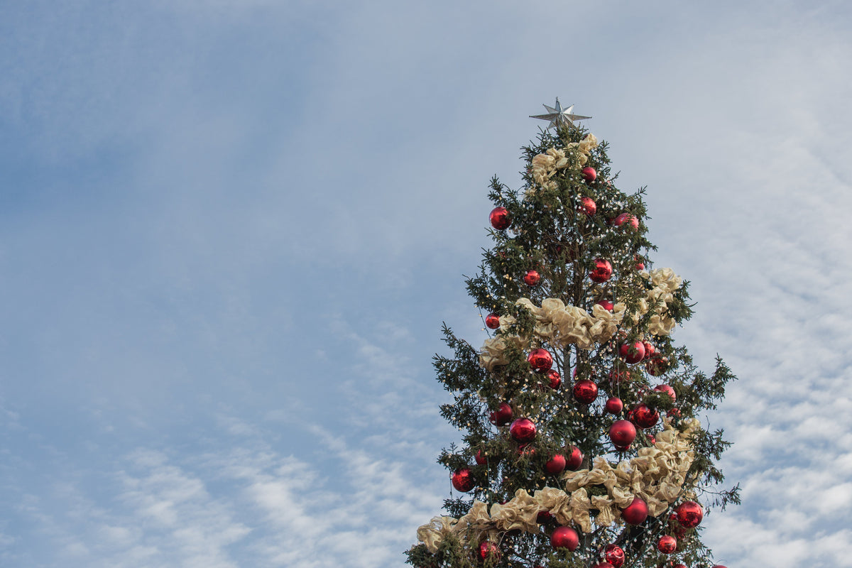 Natal